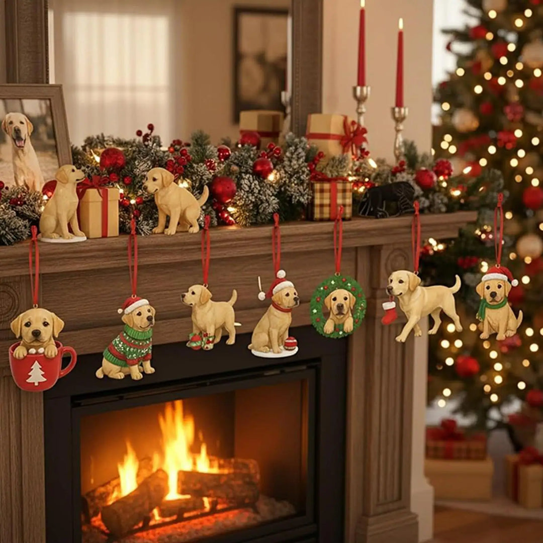 Labrador™ | Advent Calendar 2025