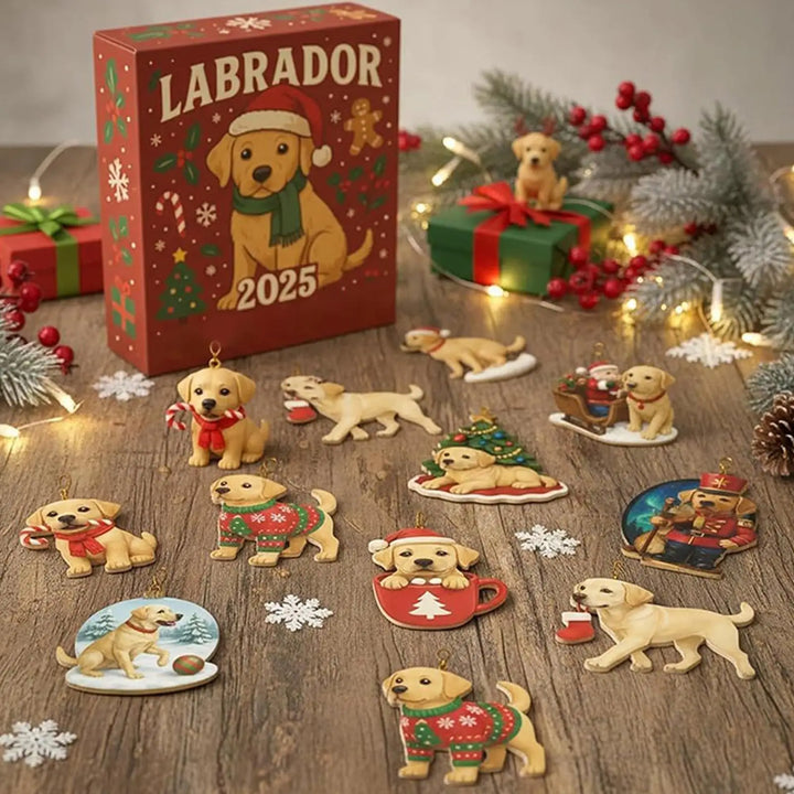 Labrador™ | Advent Calendar 2025
