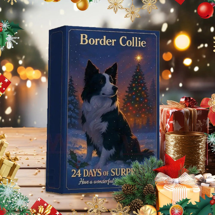 Border Collie™ | Advent Calendar 2025