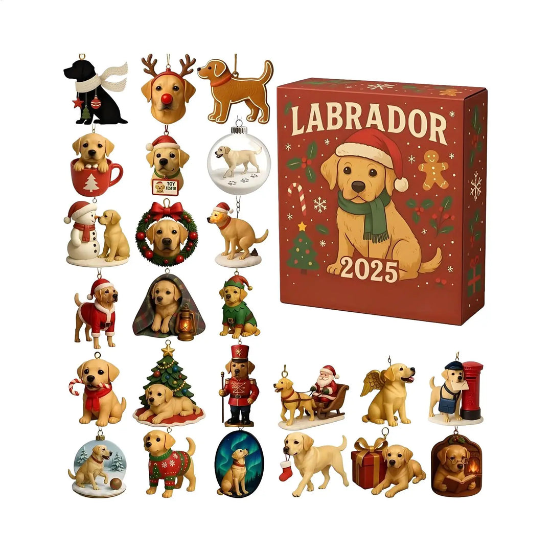Labrador™ | Advent Calendar 2025